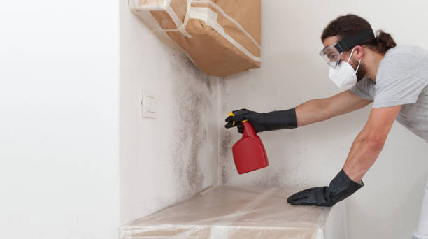 Professional Crawl Space Mold Removal technician working in Vermillion, MN
