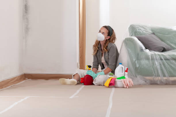 Reliable Crawl Space Mold Removal contractor in Vermillion, MN by WQB Mold Removal